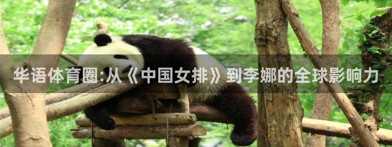 华语体育圈:从《中国女排》到李娜的全球影